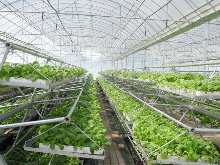 農業溫室大棚建設